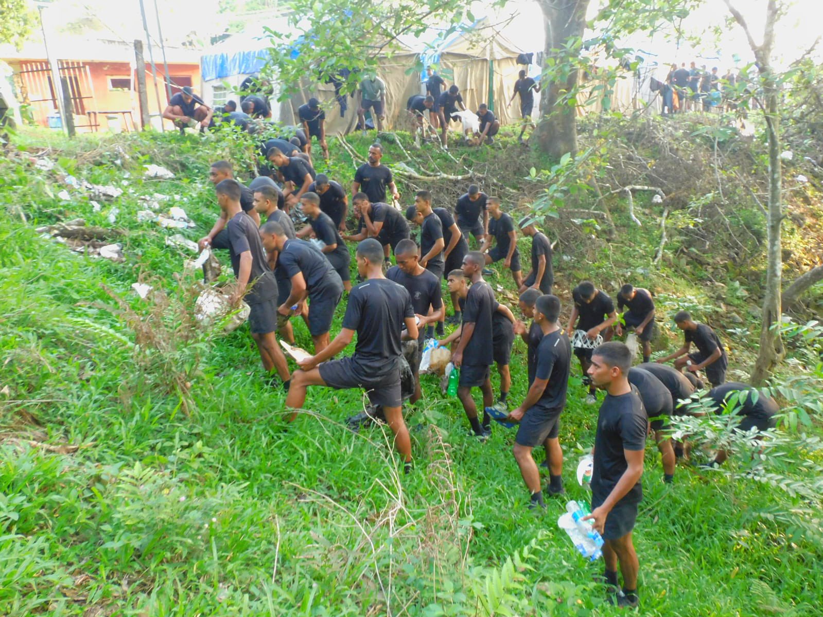 Environment friendly month Image 1